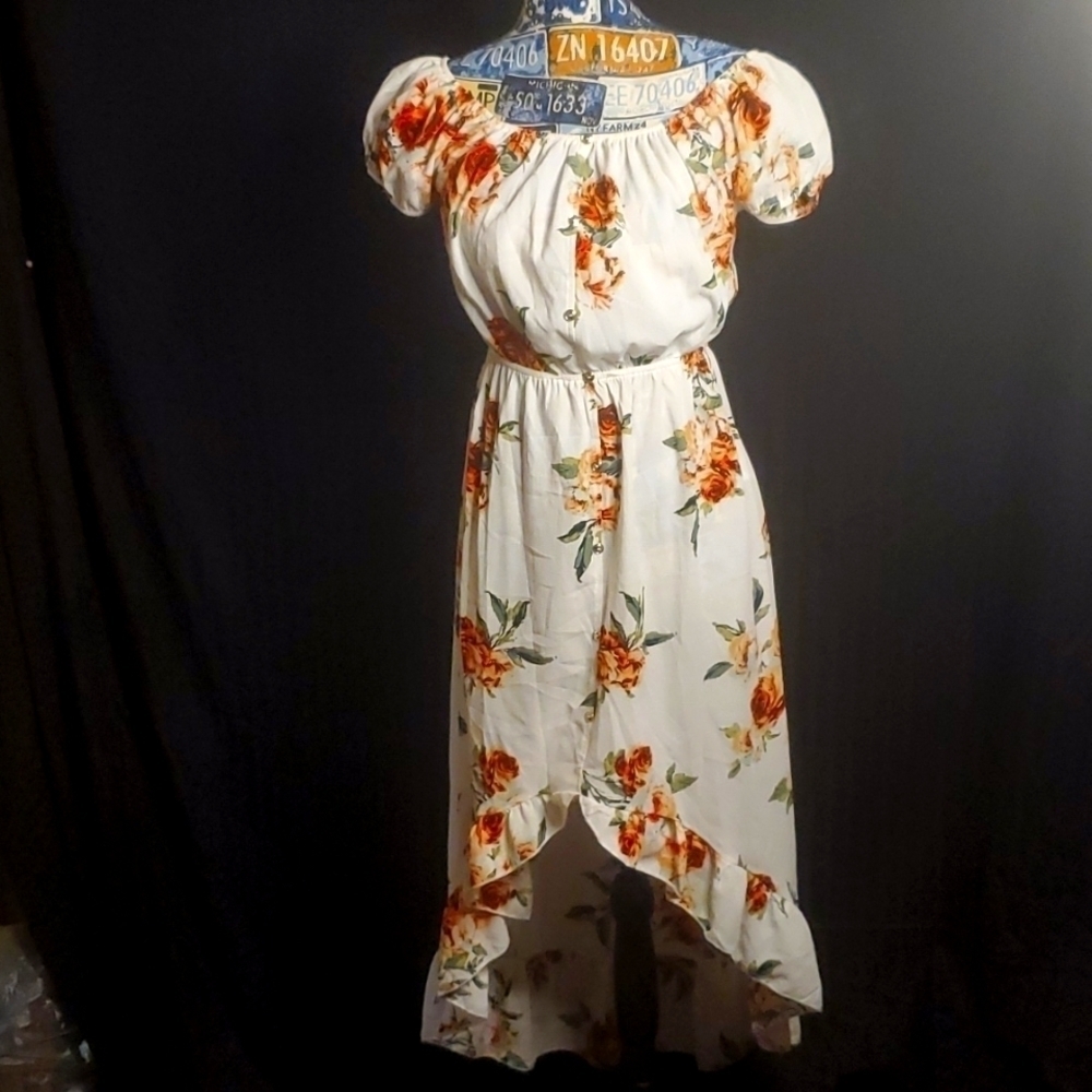 MILEY and Molly Floral Hi Low Dress